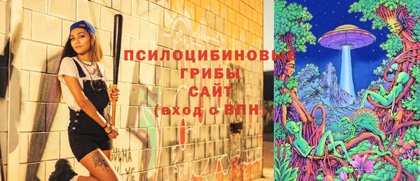 spice Баксан
