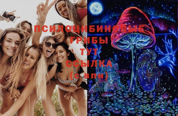 spice Баксан
