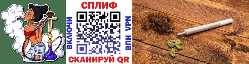 где можно купить   Балей  Канабис сатива 